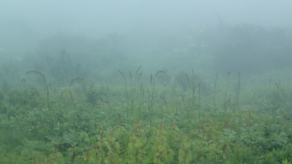 e0024081_22113180.jpg