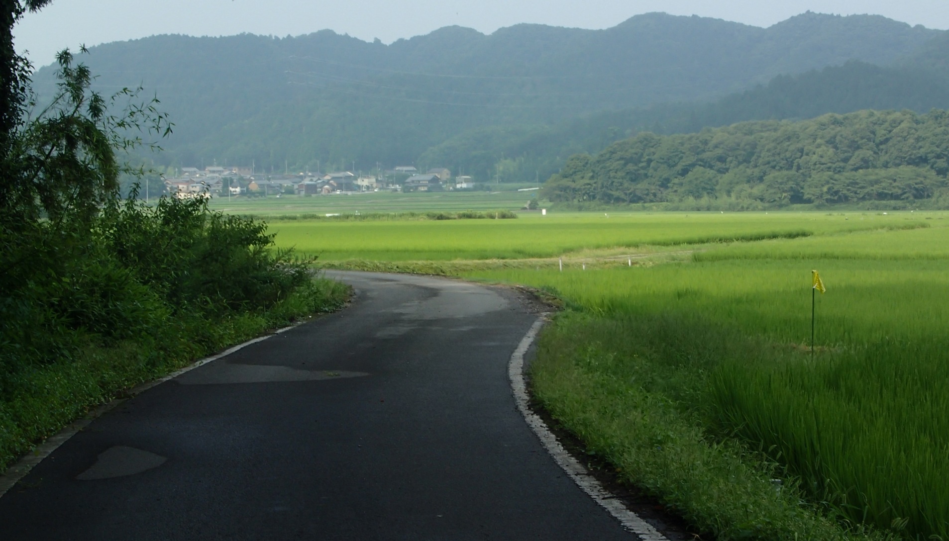 e0024081_22433595.jpg