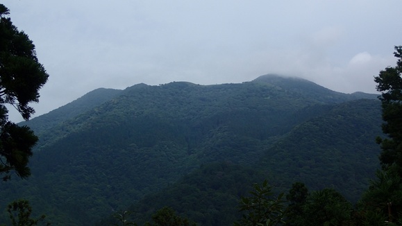 e0024081_22472299.jpg