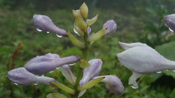e0024081_22602.jpg