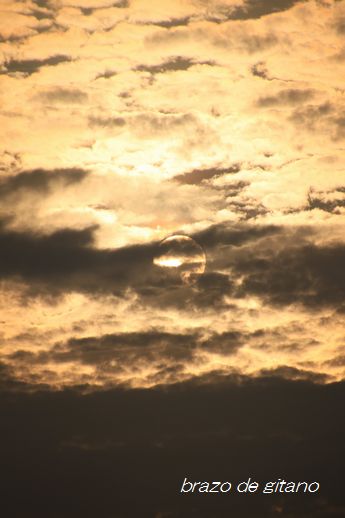 c0212987_2195261.jpg