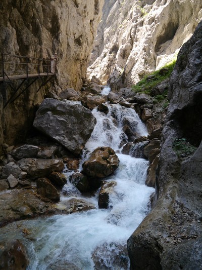 a0247194_2042652.jpg