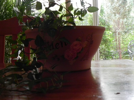c0152002_1410036.jpg
