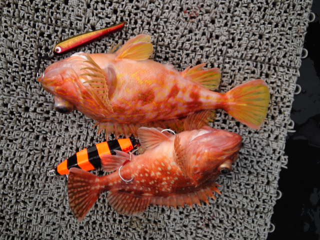 d0224204_2091134.jpg