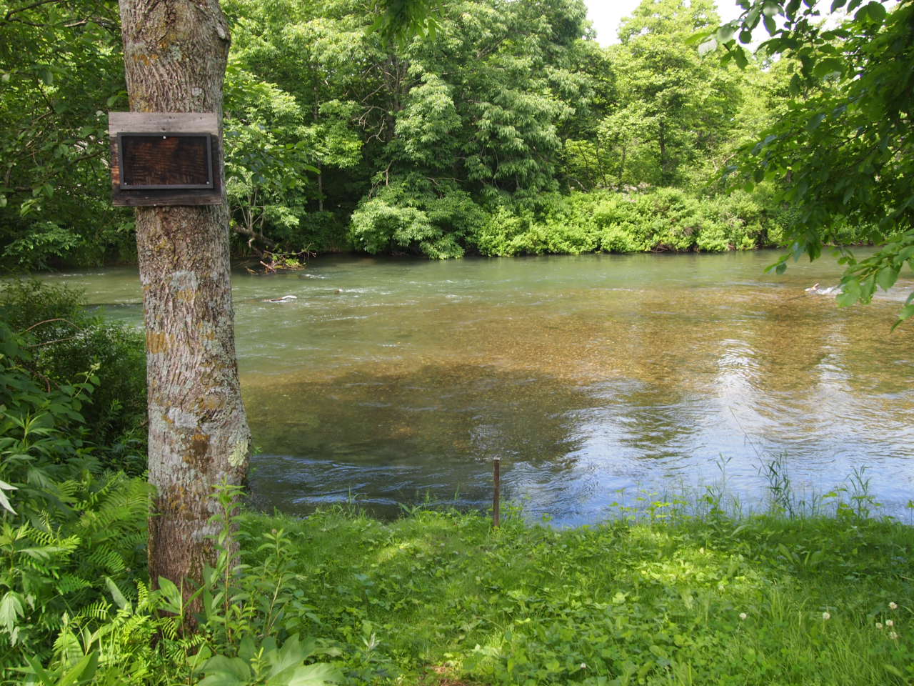 d0169613_21441935.jpg