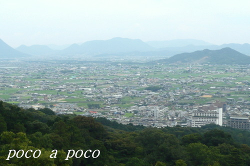 d0111216_10323675.jpg
