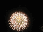 a0098027_21254212.gif