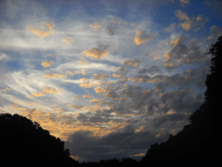 c0146127_19184329.gif