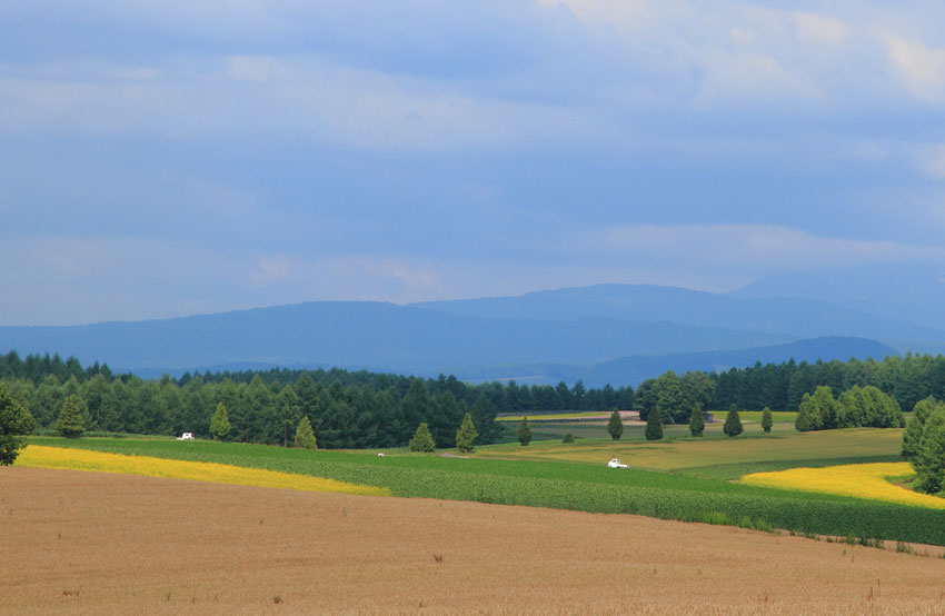 d0069235_1245585.jpg