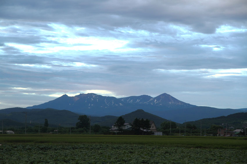 d0069235_1252516.jpg