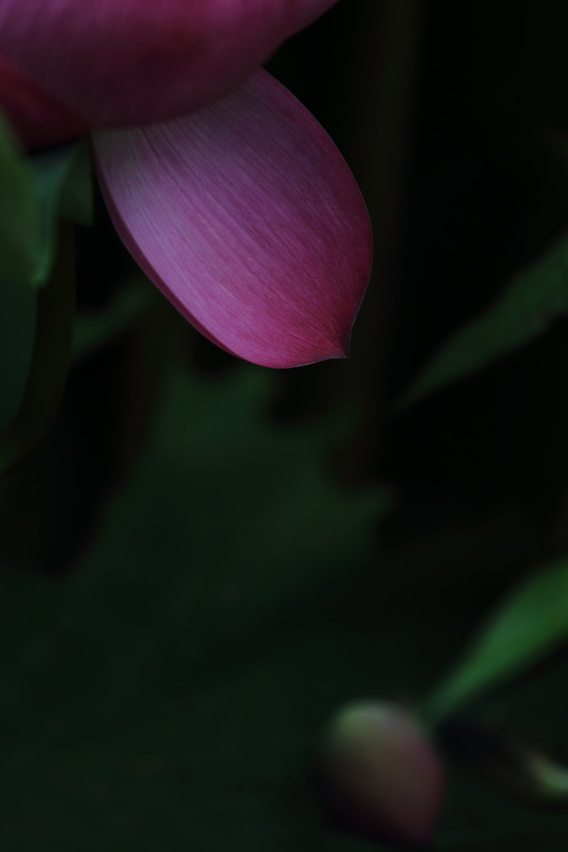 d0135242_23255081.jpg
