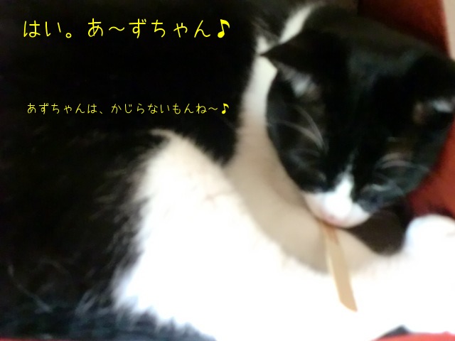 c0259945_1356173.jpg