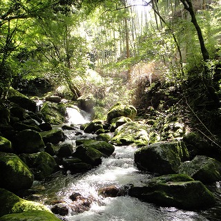 c0171349_9165032.jpg