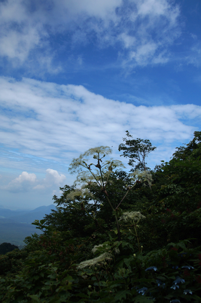 f0214649_16272331.jpg