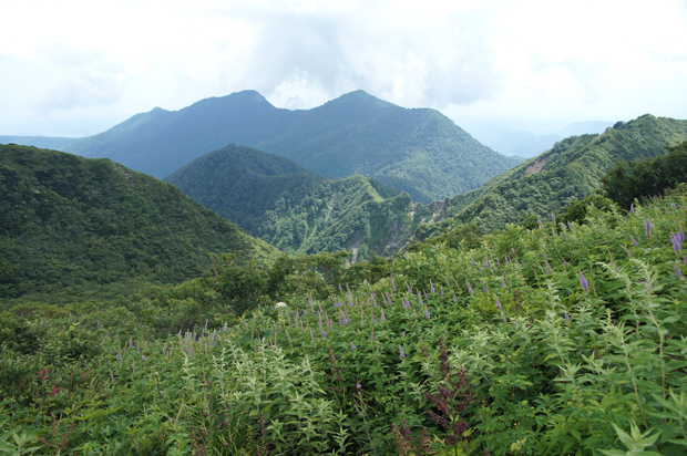 f0214649_16465491.jpg