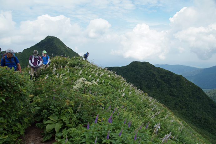 f0214649_16482777.jpg