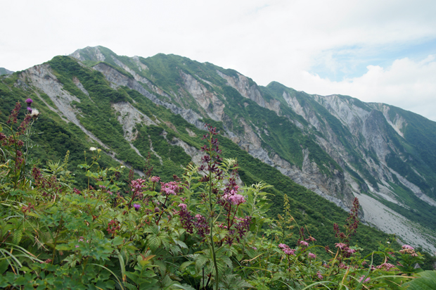 f0214649_16555115.jpg