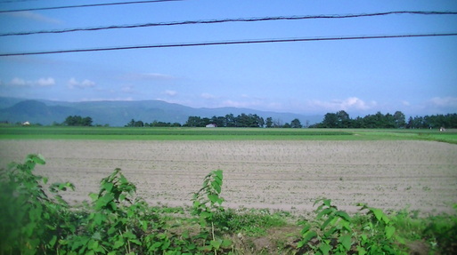 a0193457_2057787.jpg