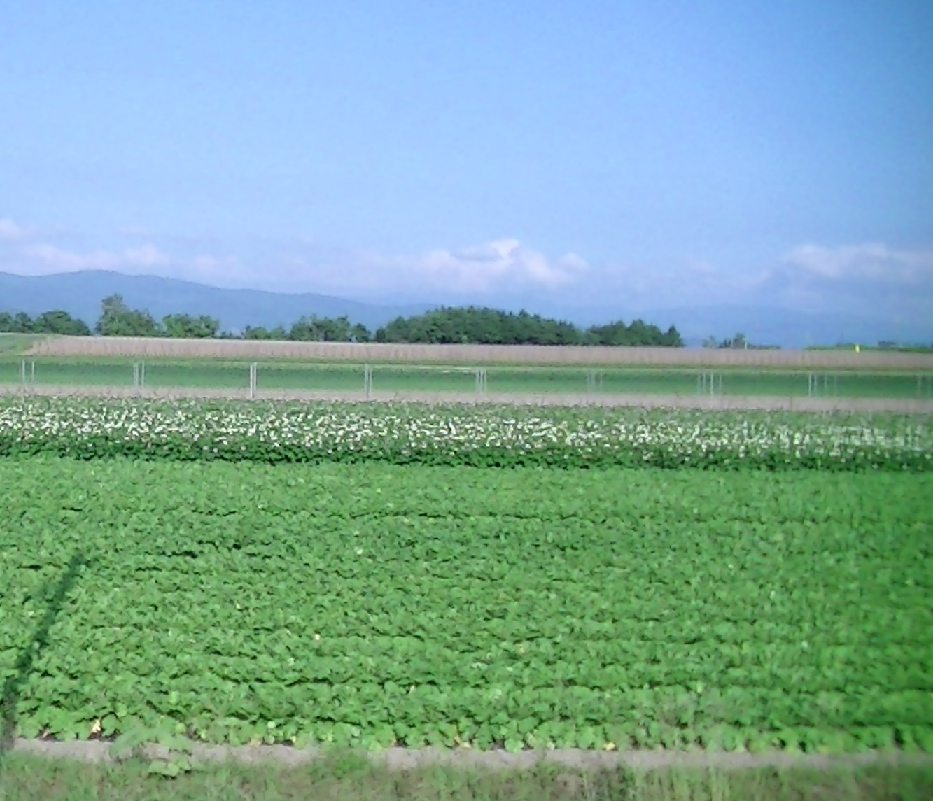 a0193457_20582196.jpg