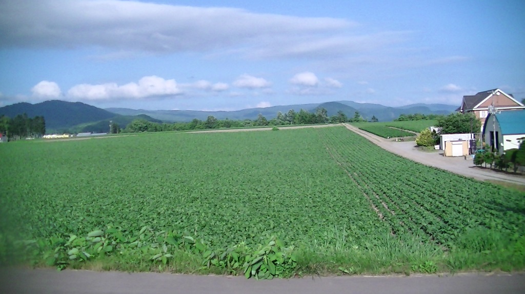 a0193457_20591680.jpg