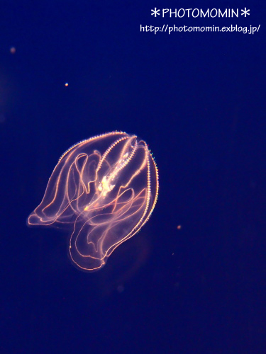 a0172271_2120444.jpg