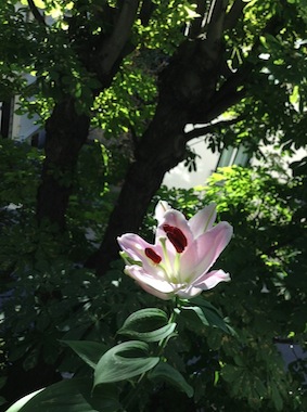 b0222478_14472999.jpg