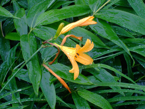 a0105480_19133140.jpg