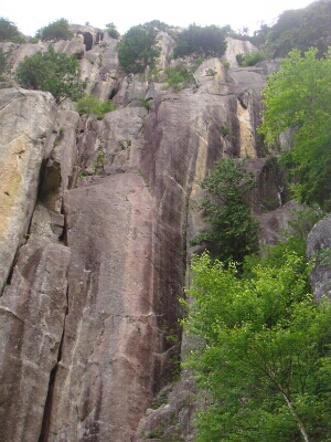 f0223480_12541530.jpg