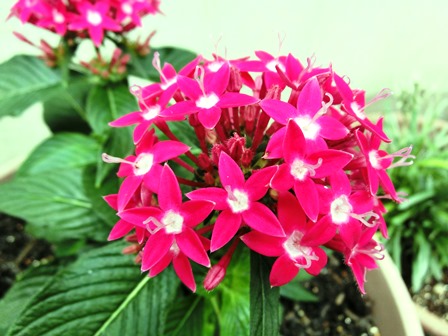 c0167785_0552435.jpg