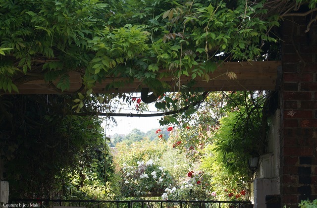 e0043686_1045821.jpg