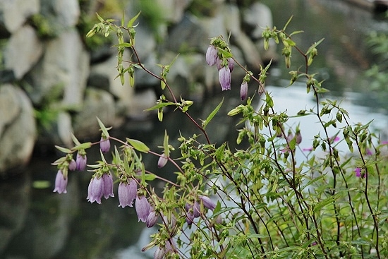 e0209997_13353731.jpg