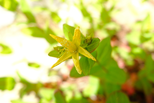 e0304001_16102675.jpg