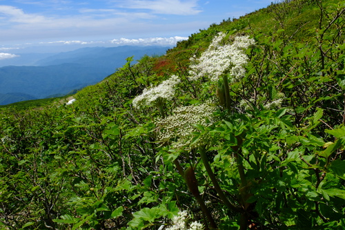 e0304001_1622562.jpg
