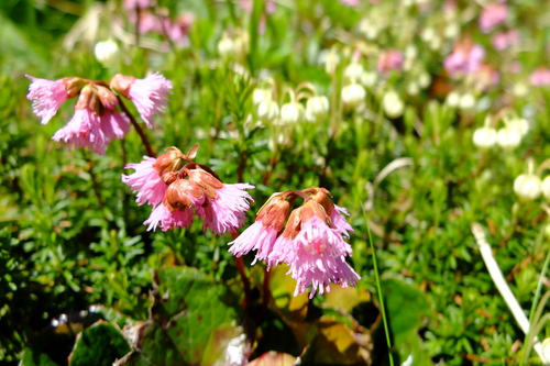 e0304001_1675752.jpg