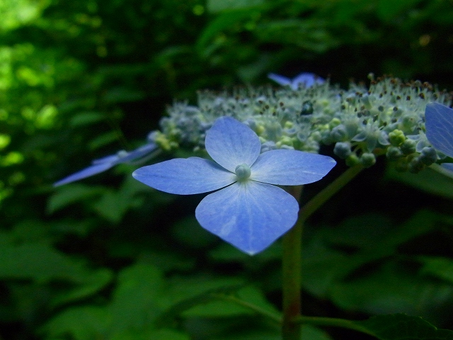 f0157901_16112416.jpg
