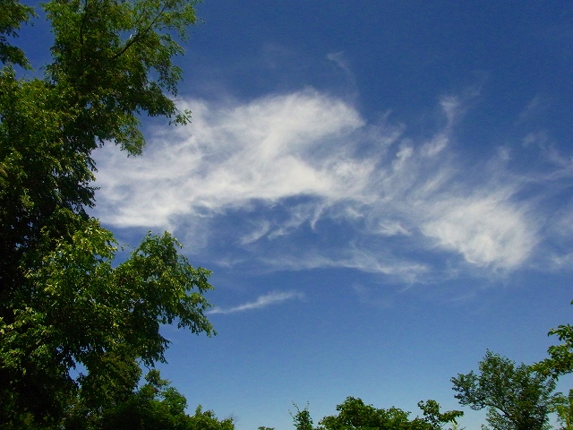 f0157901_1662848.jpg