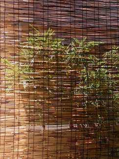 c0152002_1838296.jpg