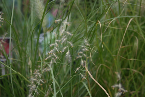 a0139007_12211560.jpg