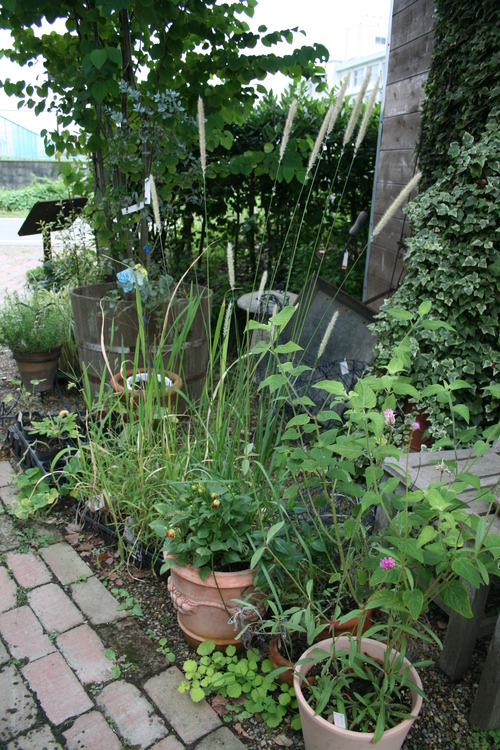 a0139007_12222495.jpg