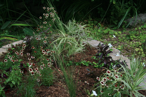 a0139007_1227769.jpg