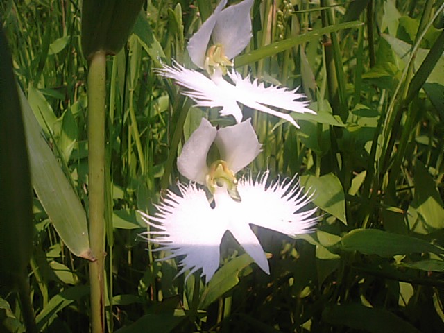 f0231709_19225641.jpg