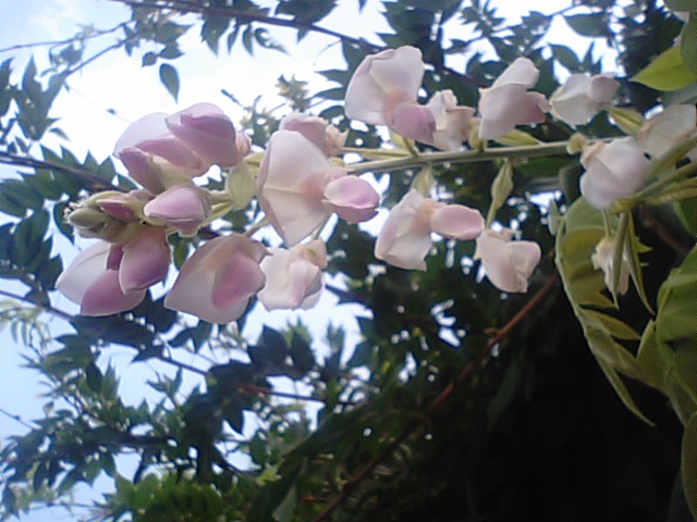 f0231709_202301.jpg
