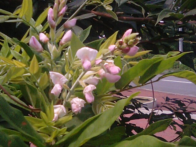 f0231709_202338.jpg