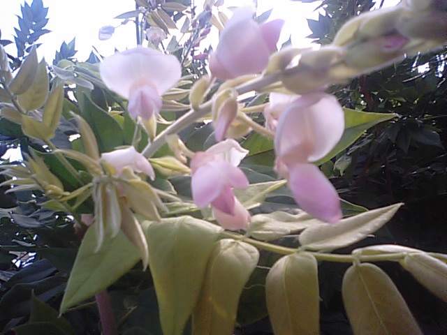 f0231709_2024696.jpg