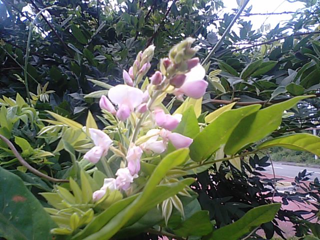 f0231709_203686.jpg