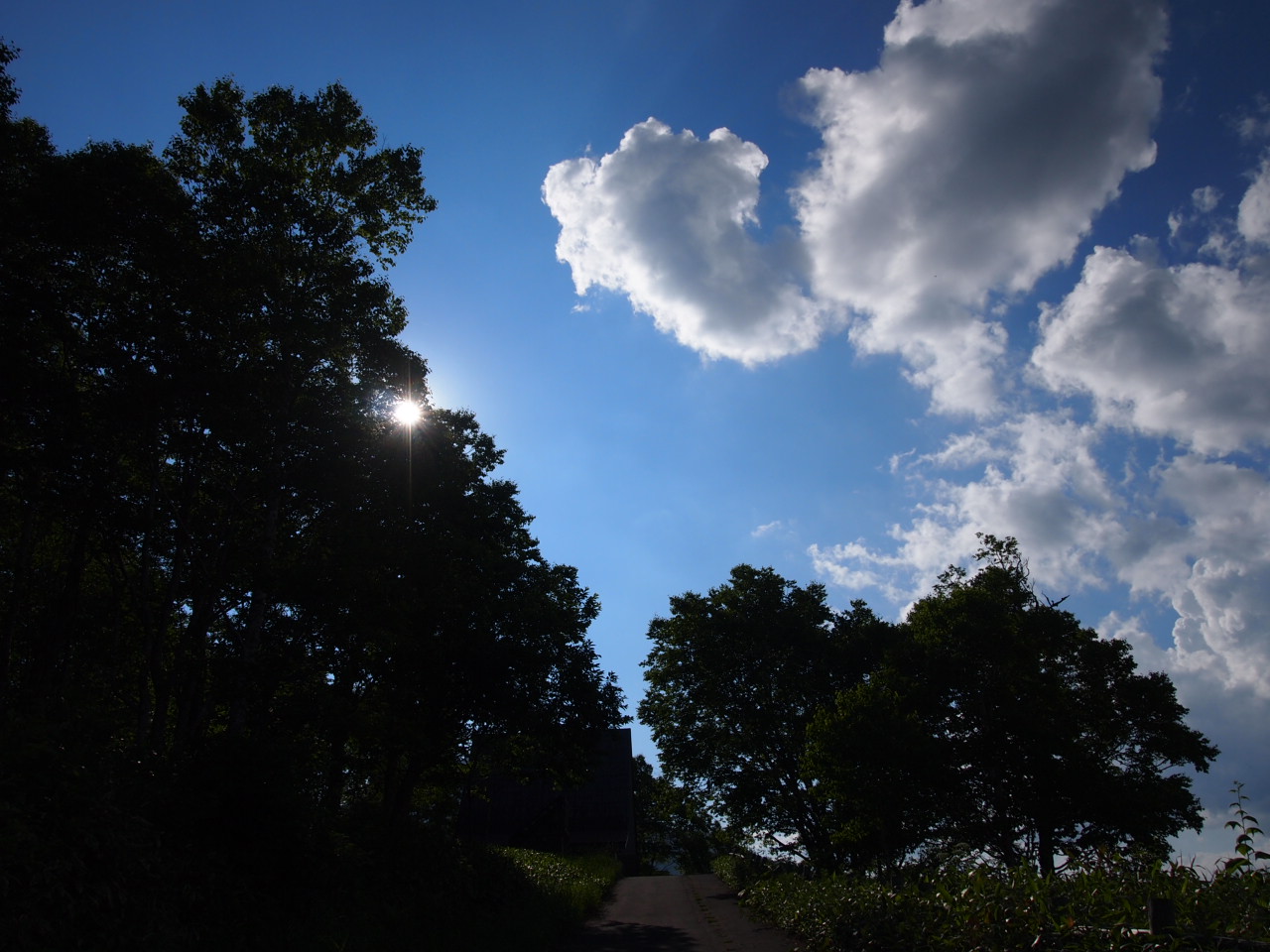 d0169613_11103160.jpg