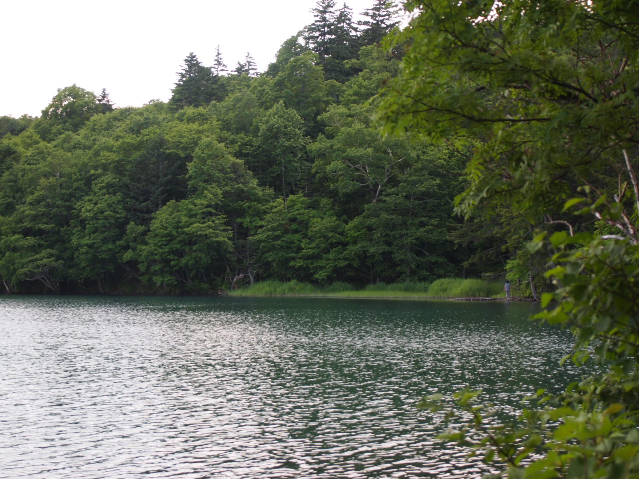 d0169613_11195649.jpg