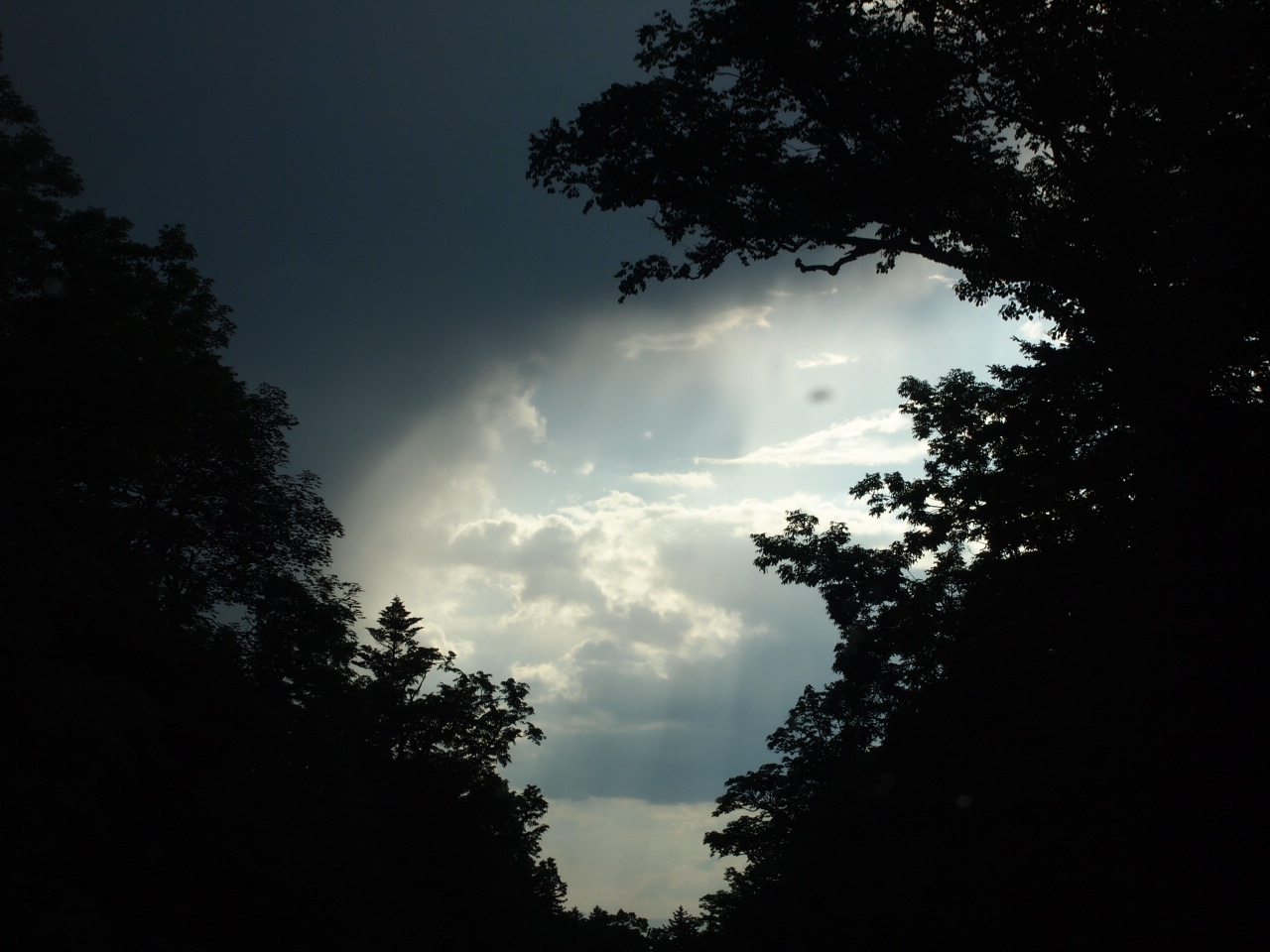 d0169613_11204639.jpg