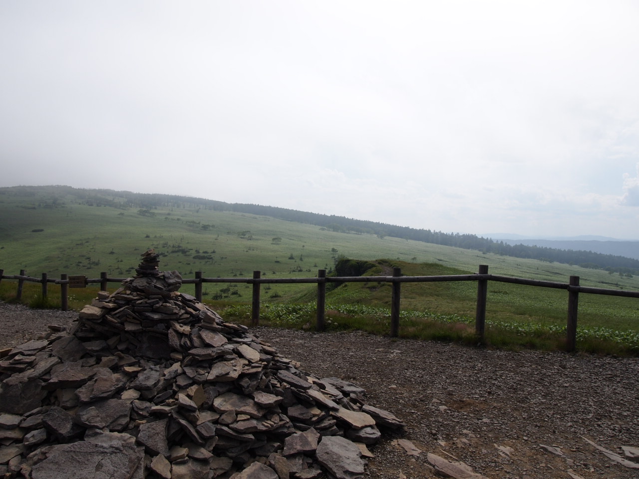 d0169613_1142587.jpg