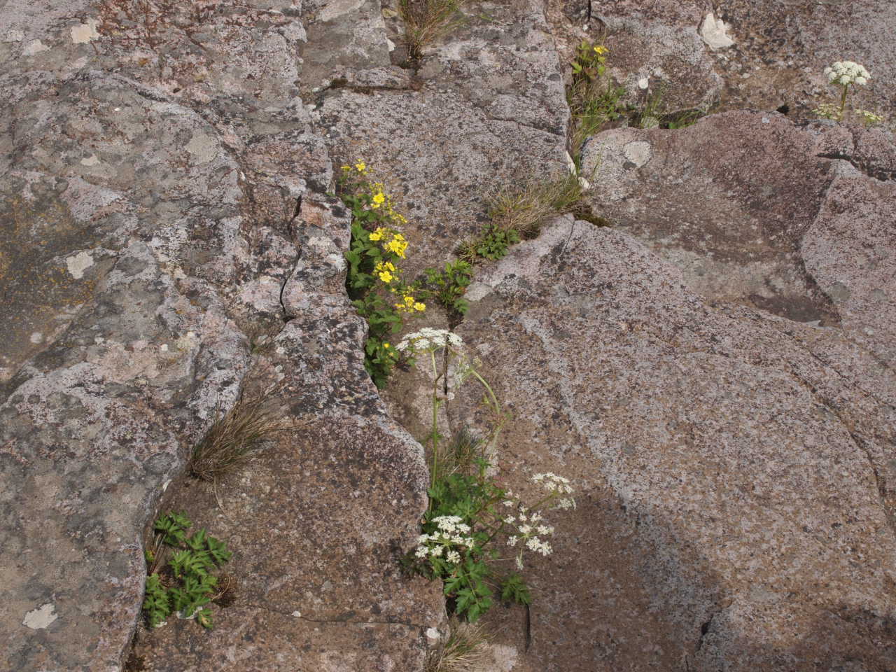d0169613_1144388.jpg